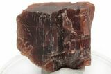 Rare, Red Villiaumite Crystal - Murmansk Oblast, Russia #220048-1